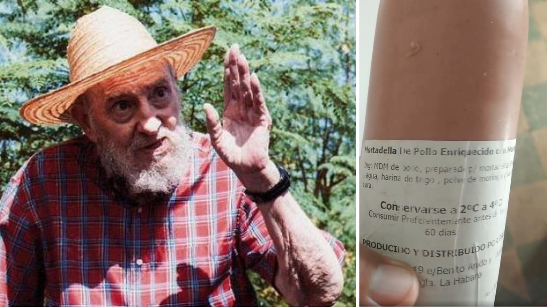 Fotomontaje de Fidel Castro sembrando moringa y mortadella de Prodal