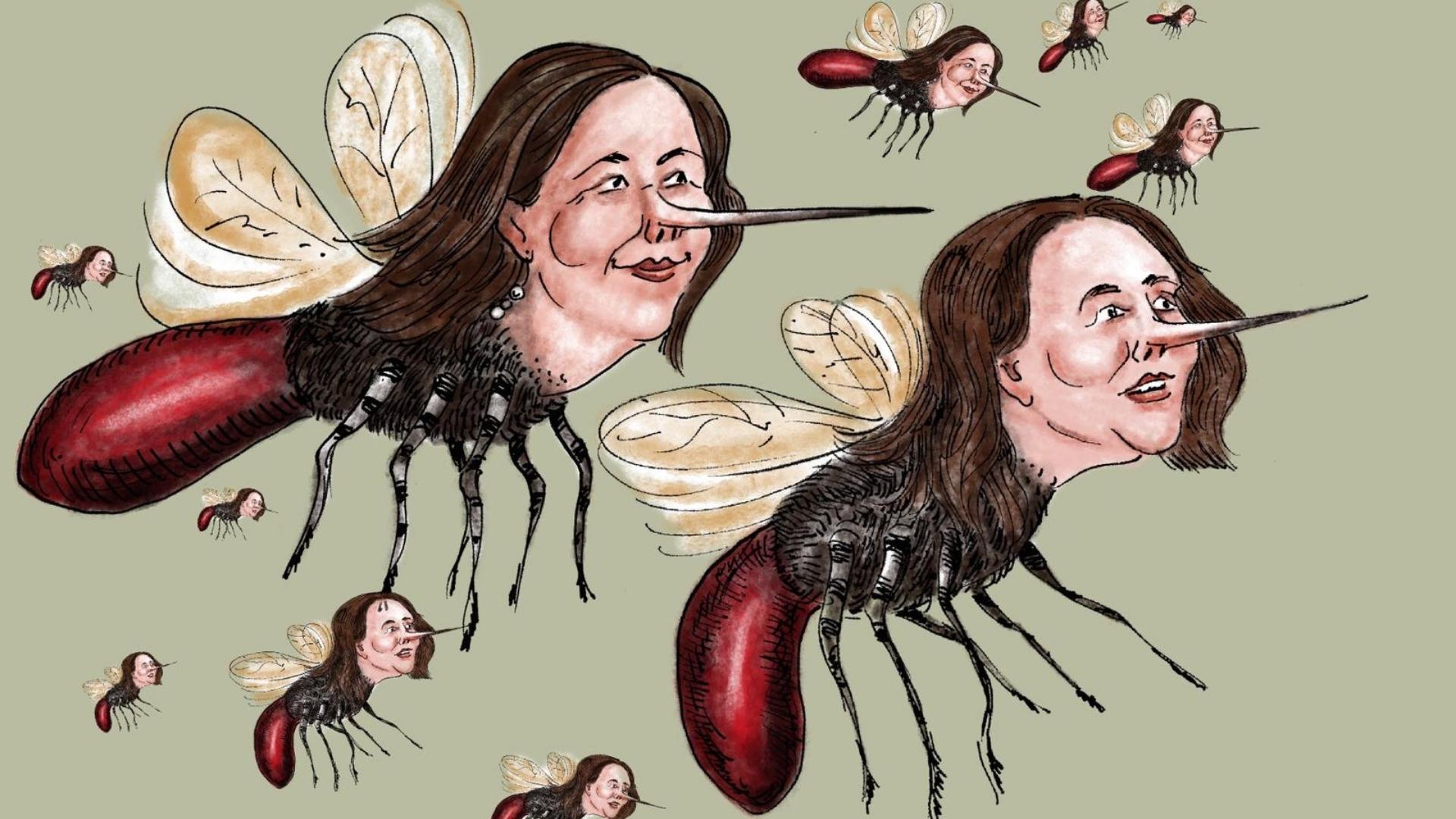 Ilustración de plaga de mosquitos con rostro de Mariela Castro. Imagen: Armando Tejuca