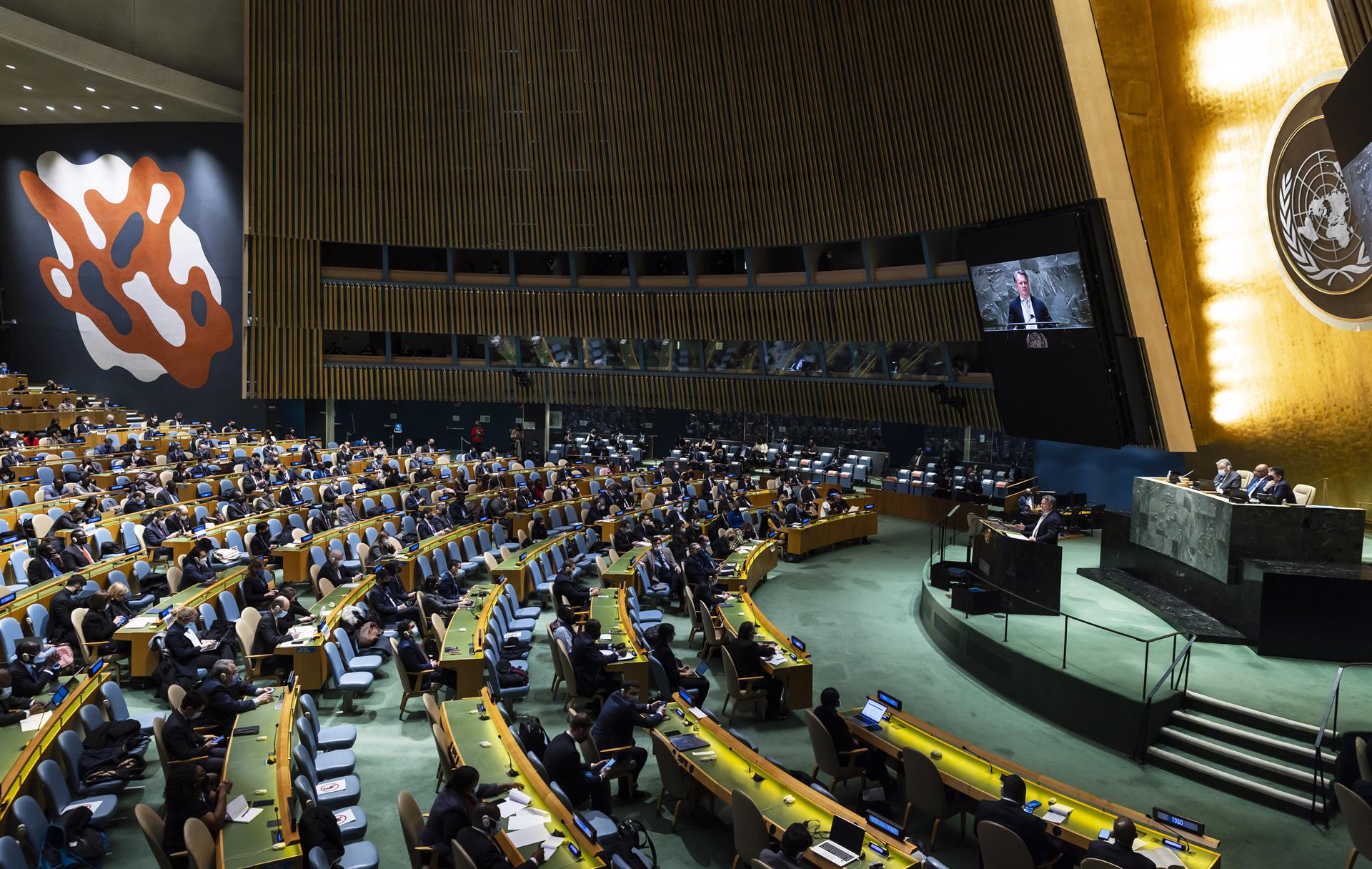 Asamblea General de la ONU