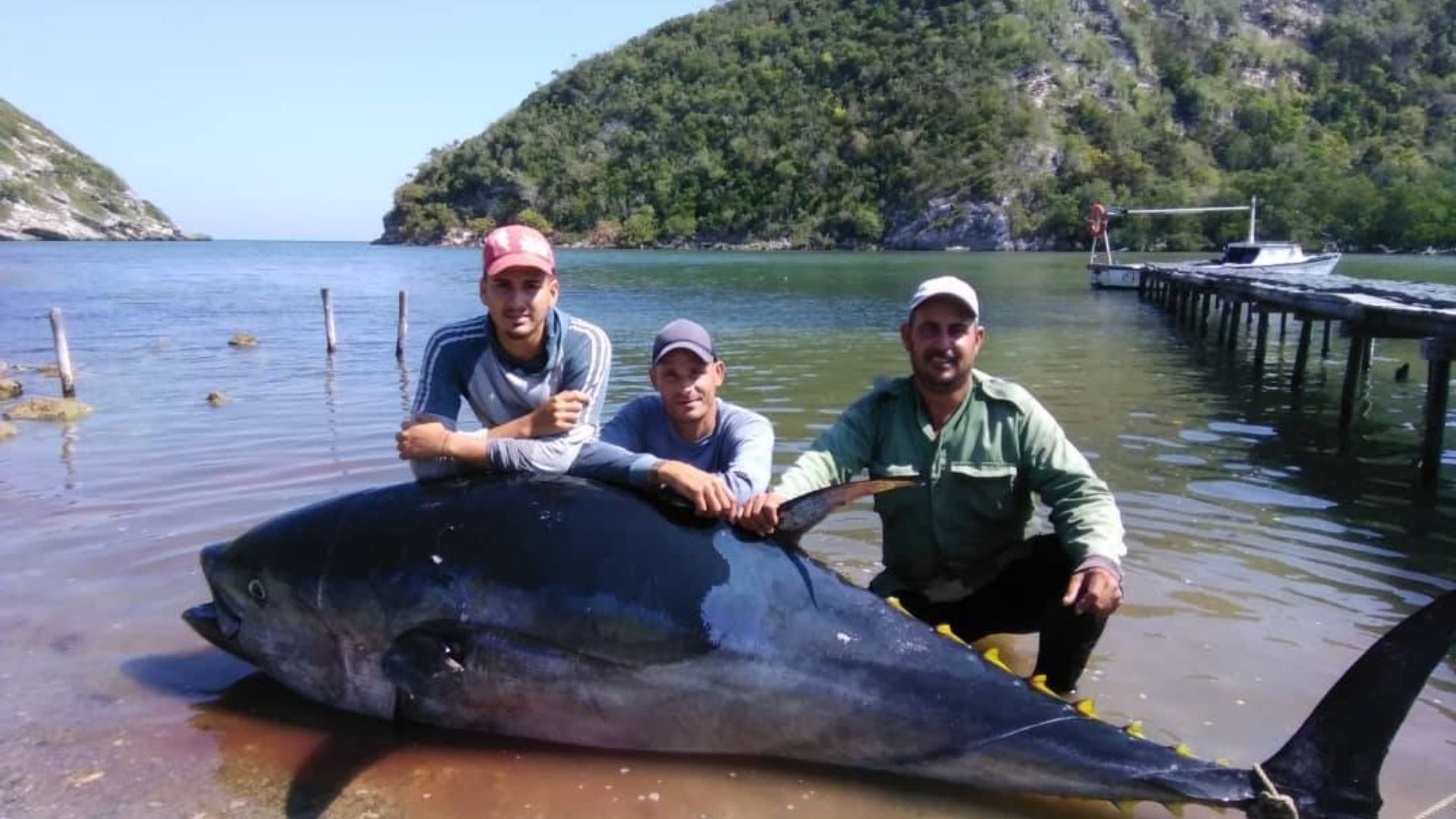 El pez los remolcó unos 20 kilómetros y un barco los ayudó a sacarlo hasta la orilla