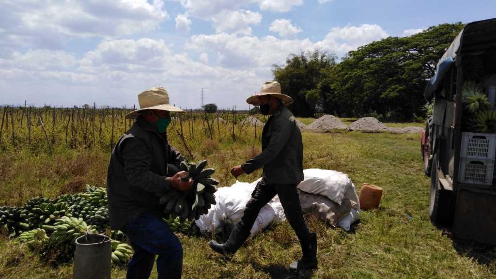 Los campesinos cubanos son uno de los sectores más afectados por la crisis económica que atraviesa la Isla