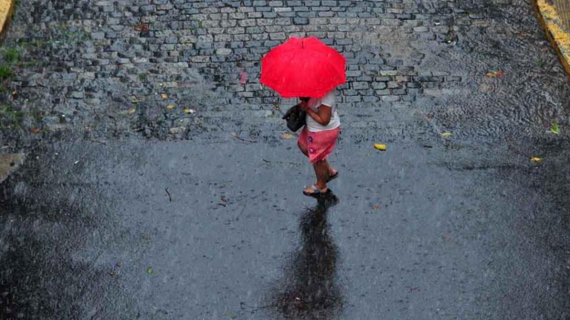 Desde el 31 de mayo el Instituto de Meteorología de Cuba (INSMET) emitió un Aviso de Alerta ante la posible formación de un ciclón en la zona del Golfo de México