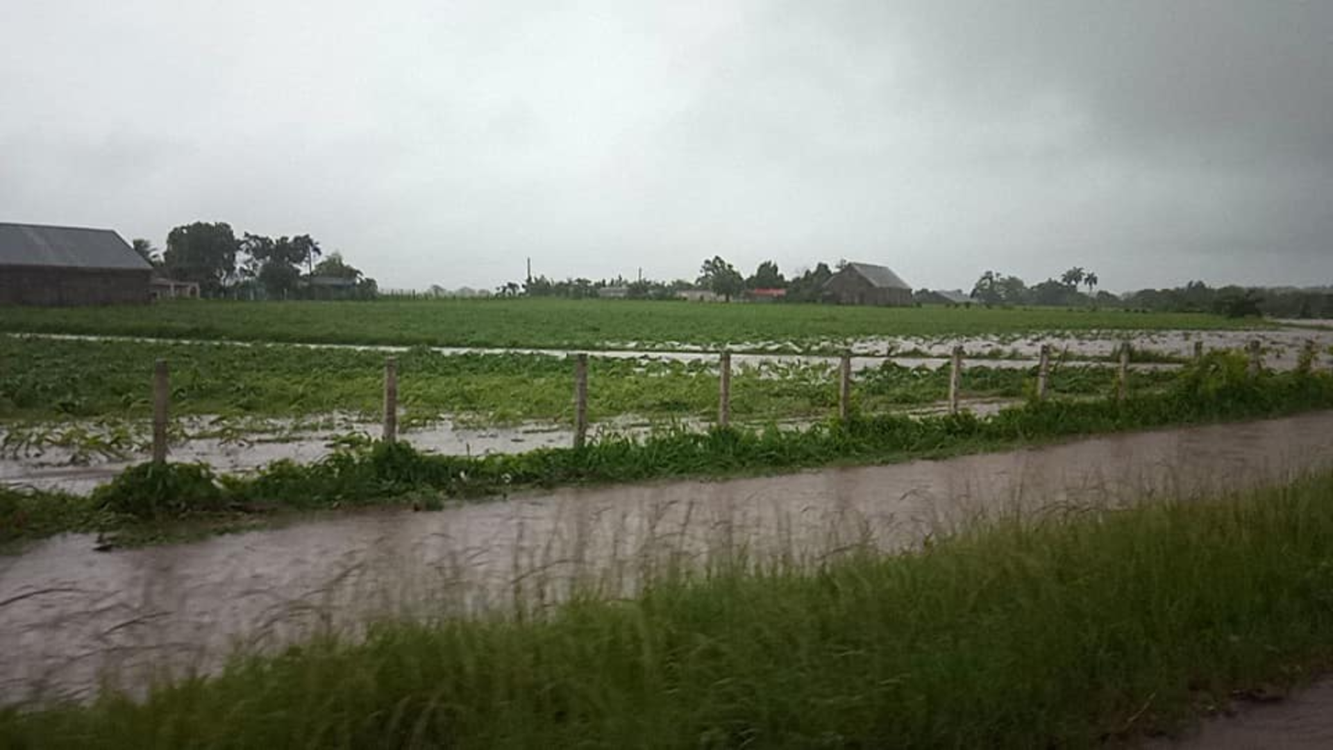 Pasa la lluvia, pero siguen las pérdidas 