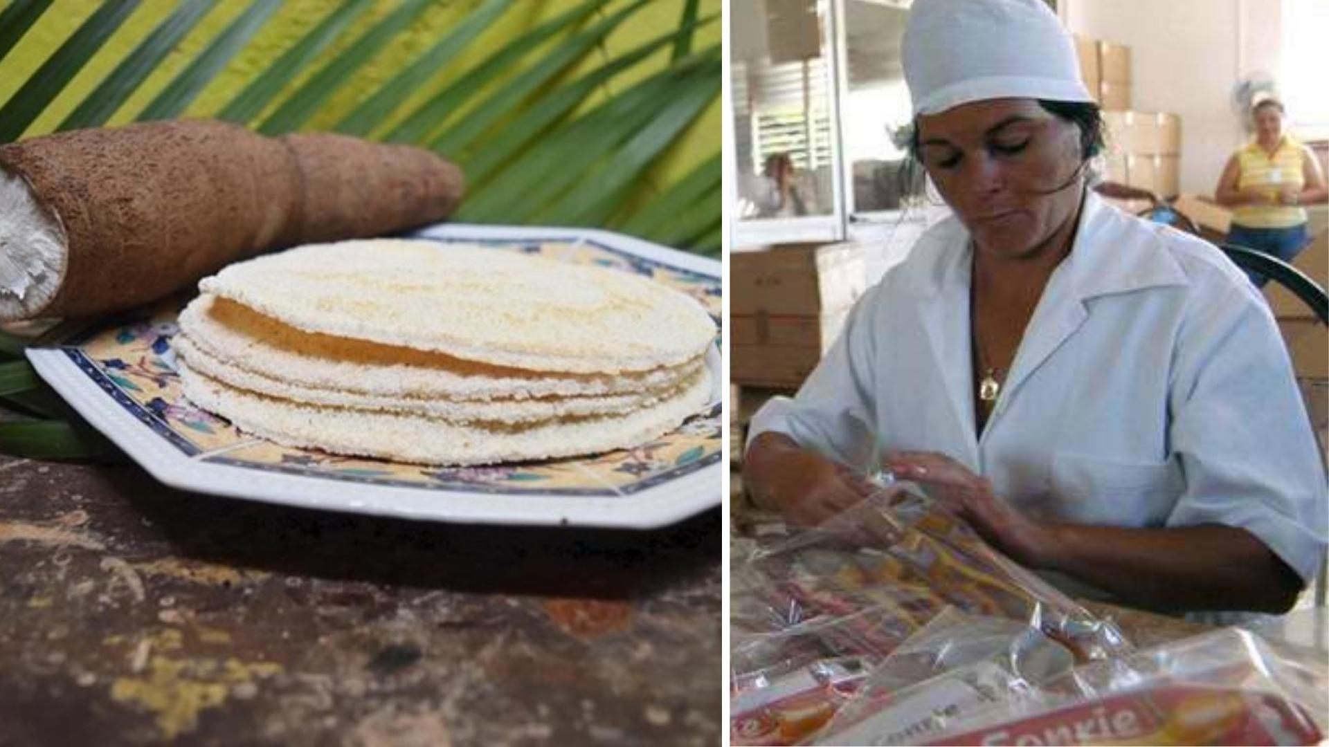 Casabe para sustituir harina y arroz en pasta