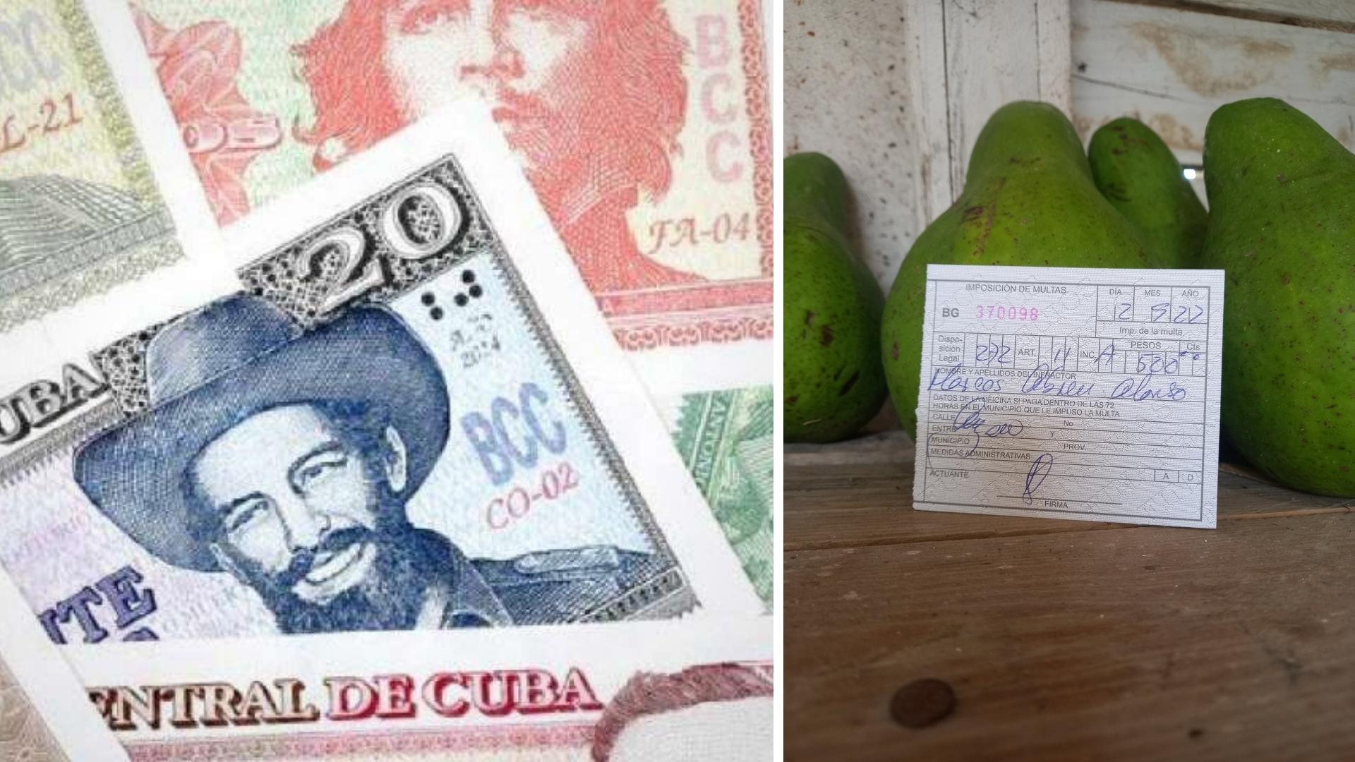 500 pesos de multa por vender sus aguacates