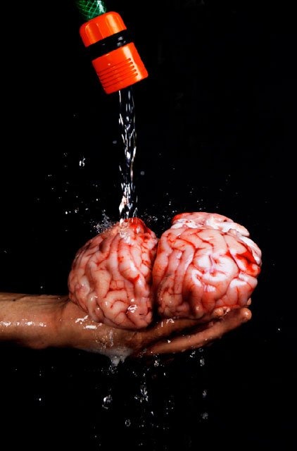 Brain washing. Cortesía de Erik Ravelo