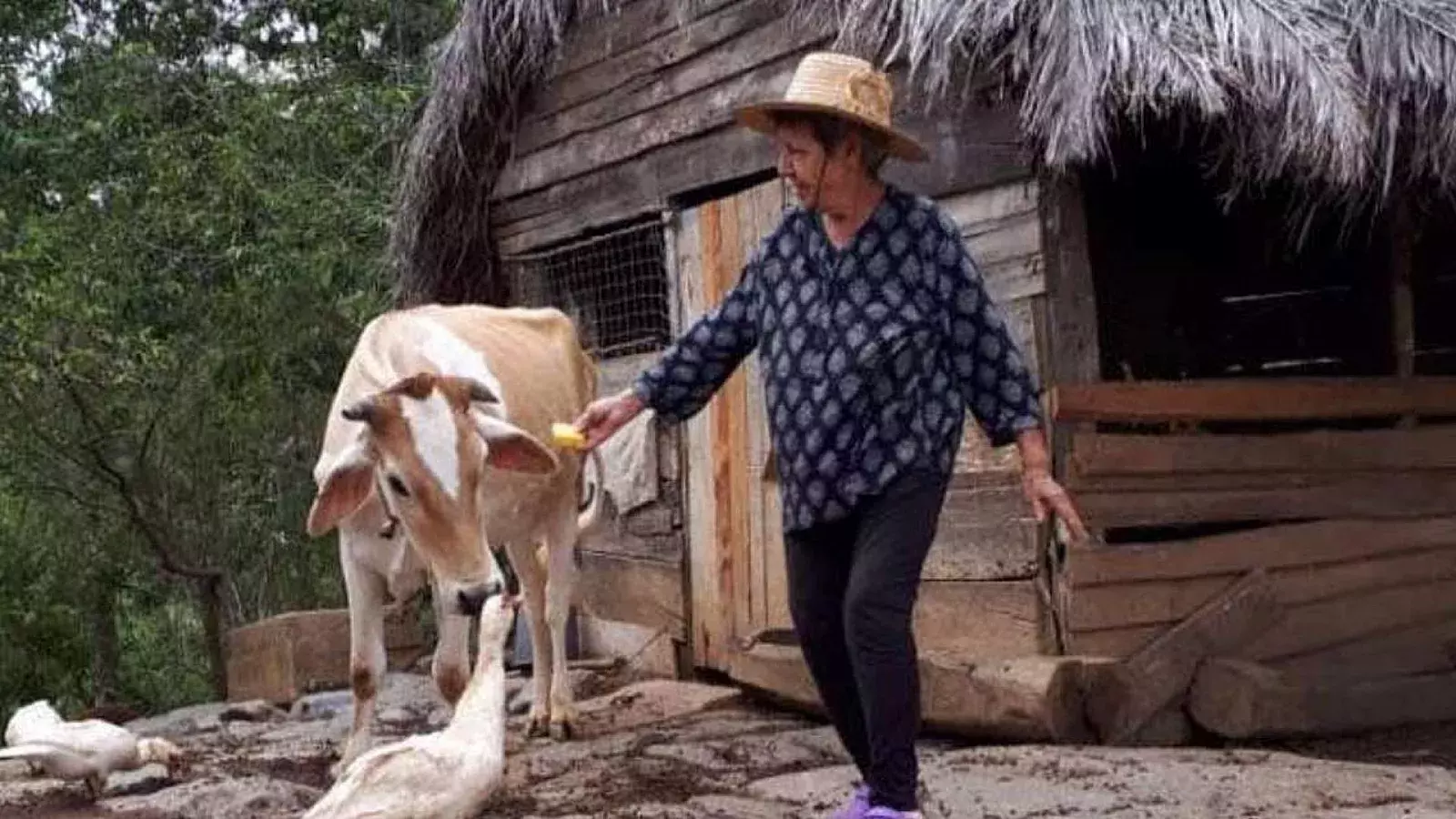 Madre de los activistas cubanos Ariel y Omara Ruiz Urquiola