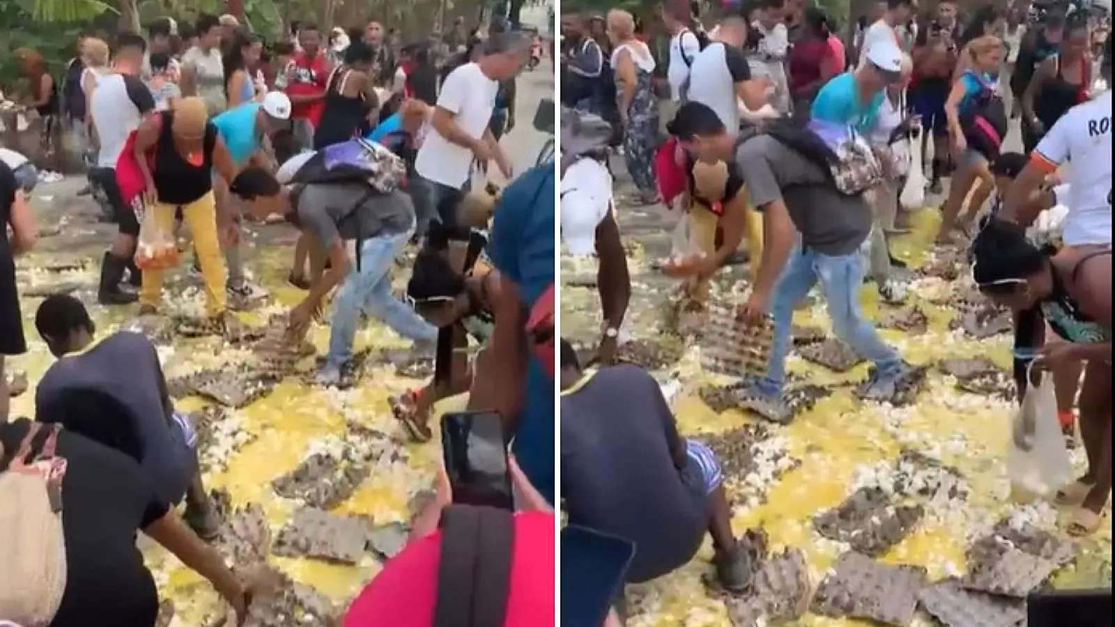 Cubanos en la miseria recogen huevos rotos en una calle habanera