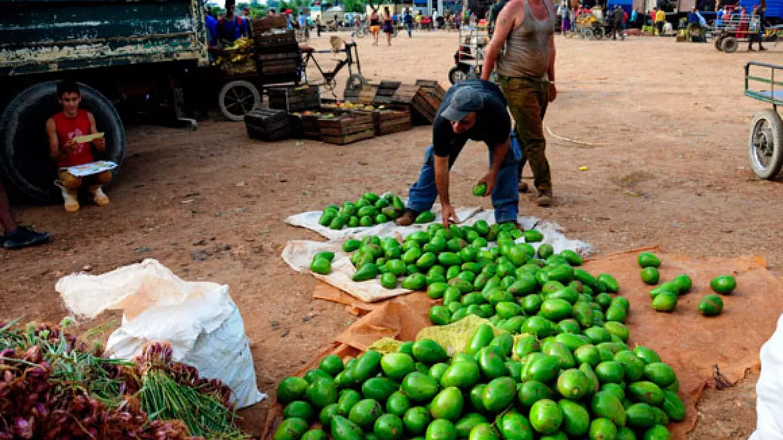 Esta ley es un reconocimiento de la precaria situación de alimentación en Cuba por parte del régimen