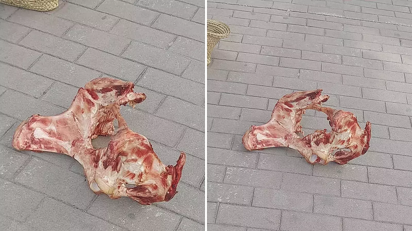Huesos que venden por comida a la población cubana