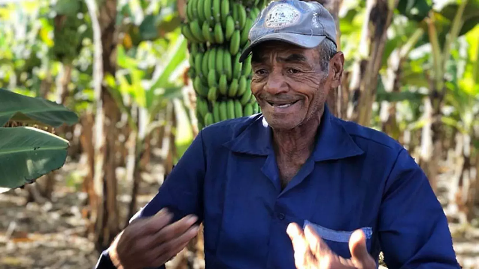 Campesino cubano atacado por ladrones