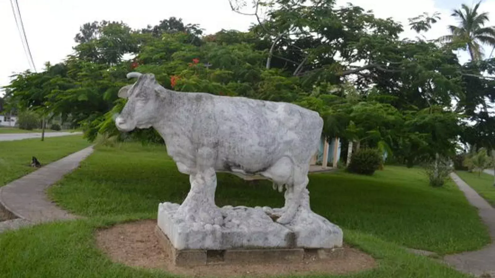 Escultura de Ubre Blanca en Isla de la Juventud