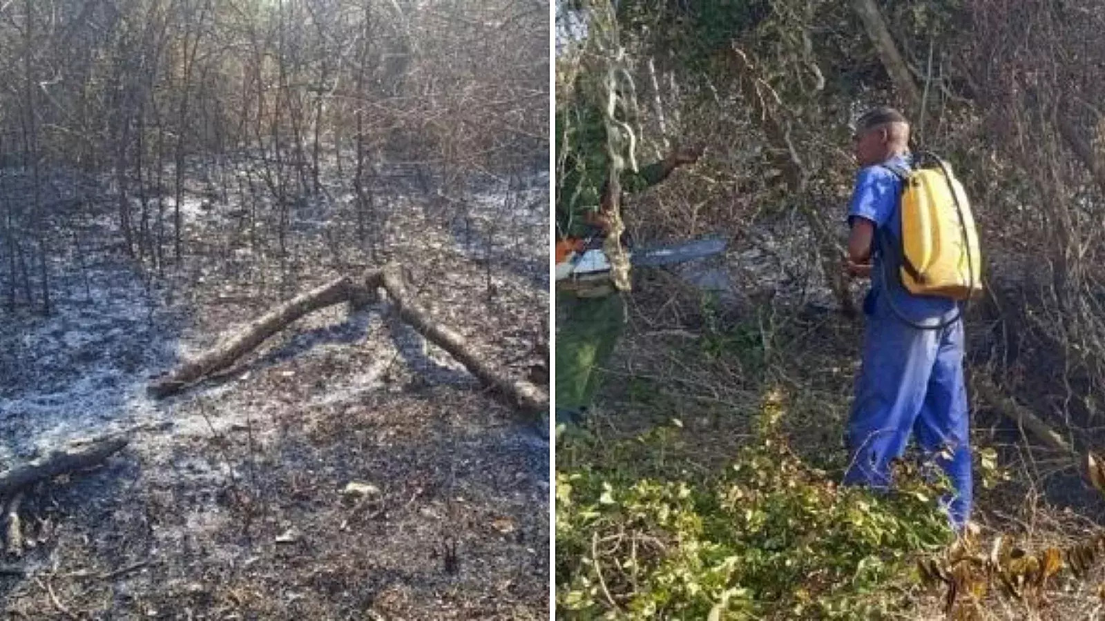 Activo incendio en Parque Nacional de Pinar del Río