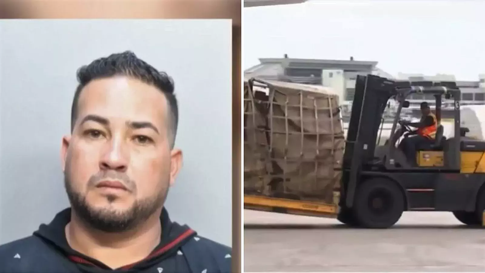 Cubano ladrón de celulares en Aeropuerto de Miami