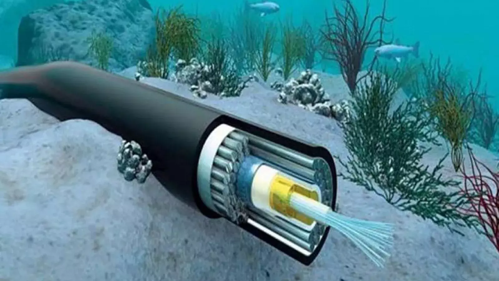 Cable submarino