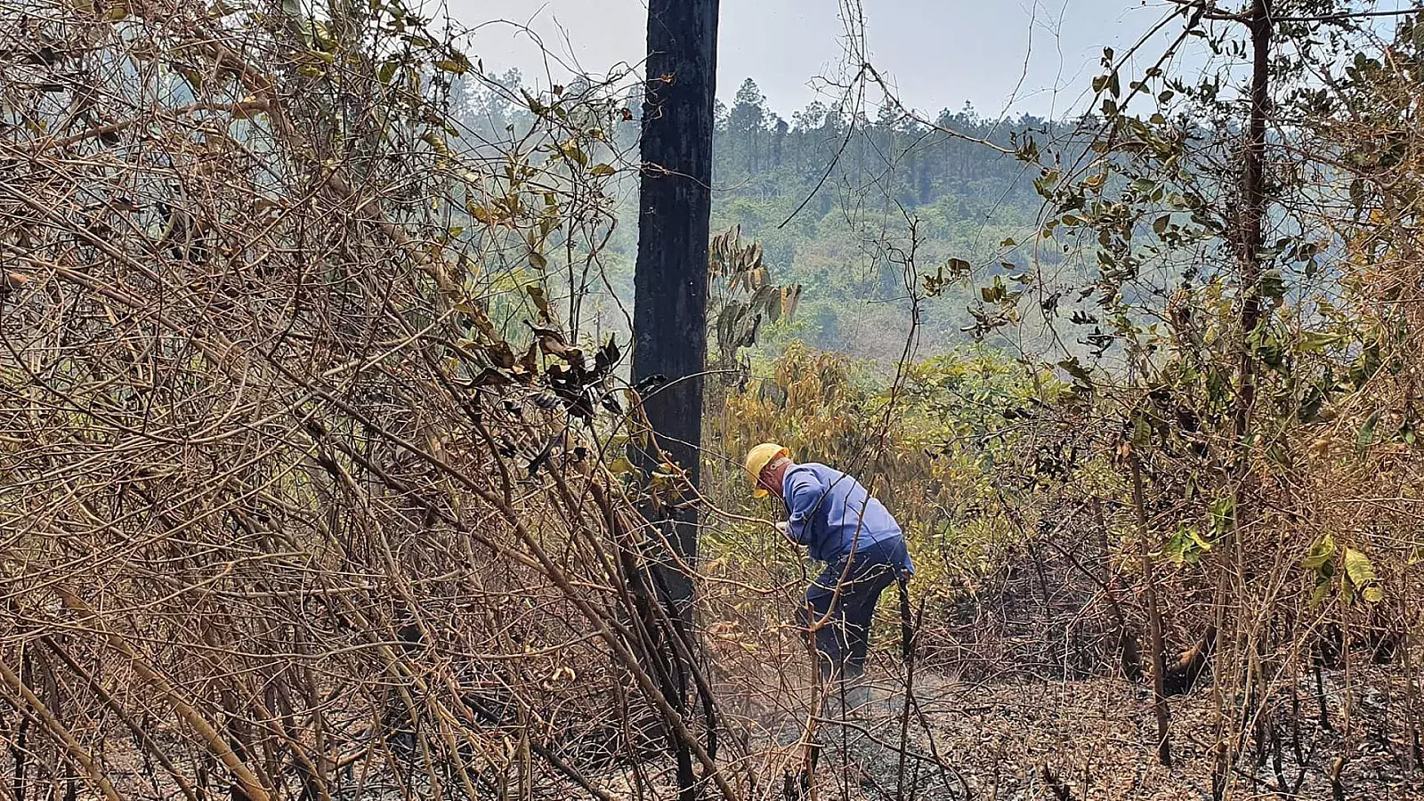 Incendio bajo control en Pinar del Río