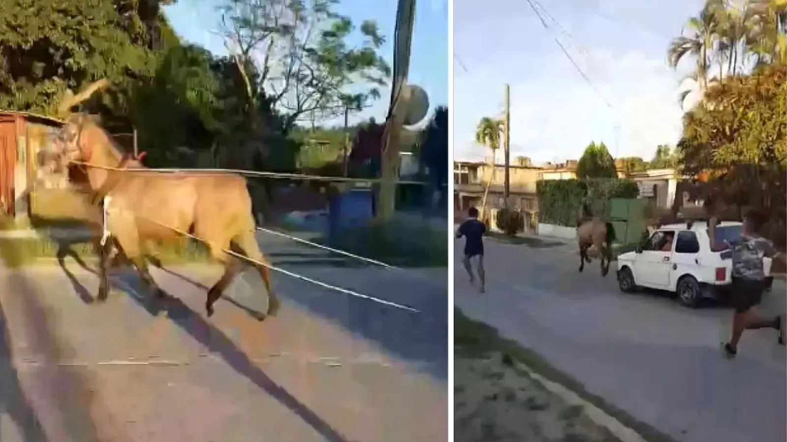 Automóvil tirado por caballo en Cuba.