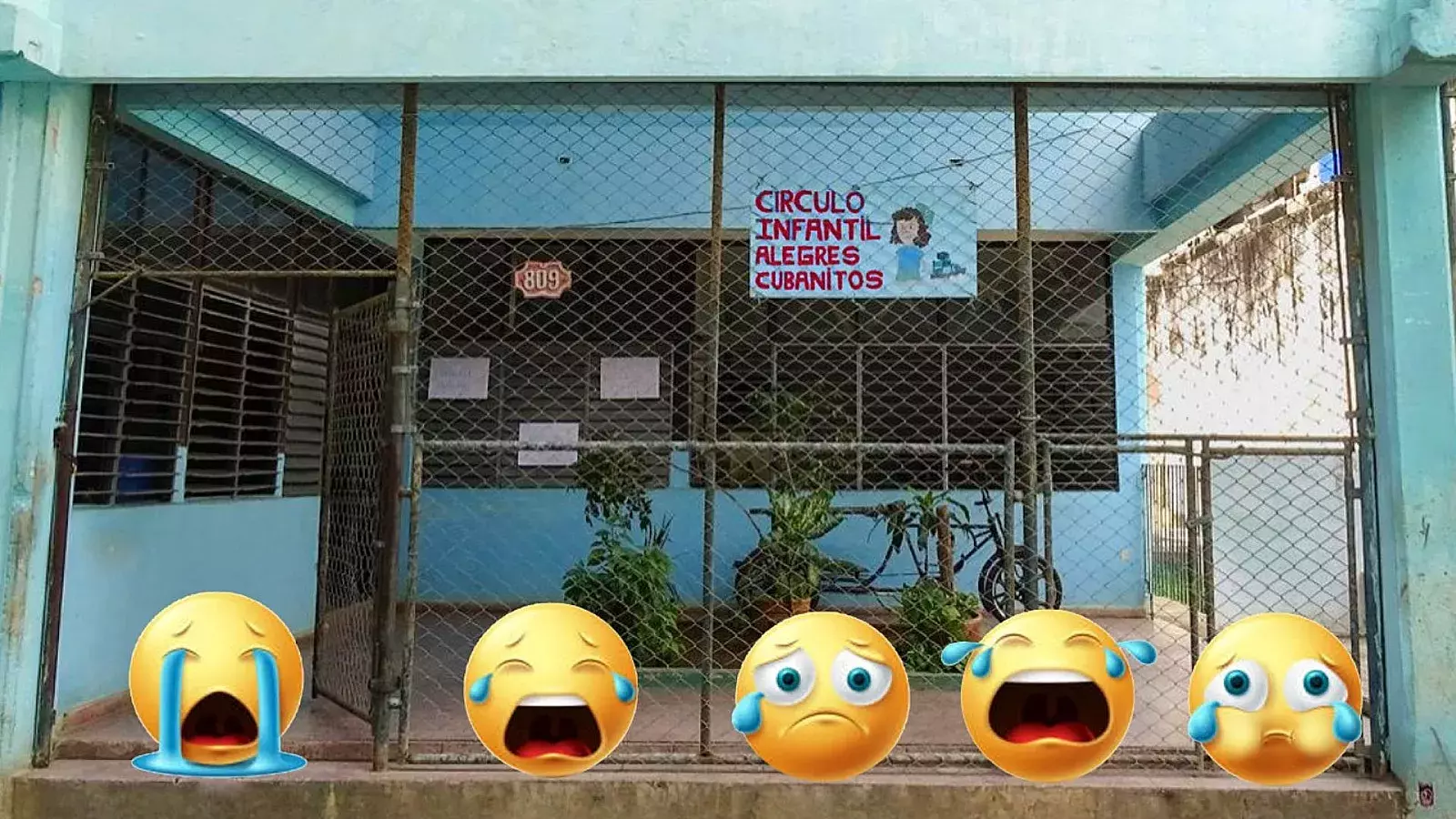 Que en paz nos dejen crecer