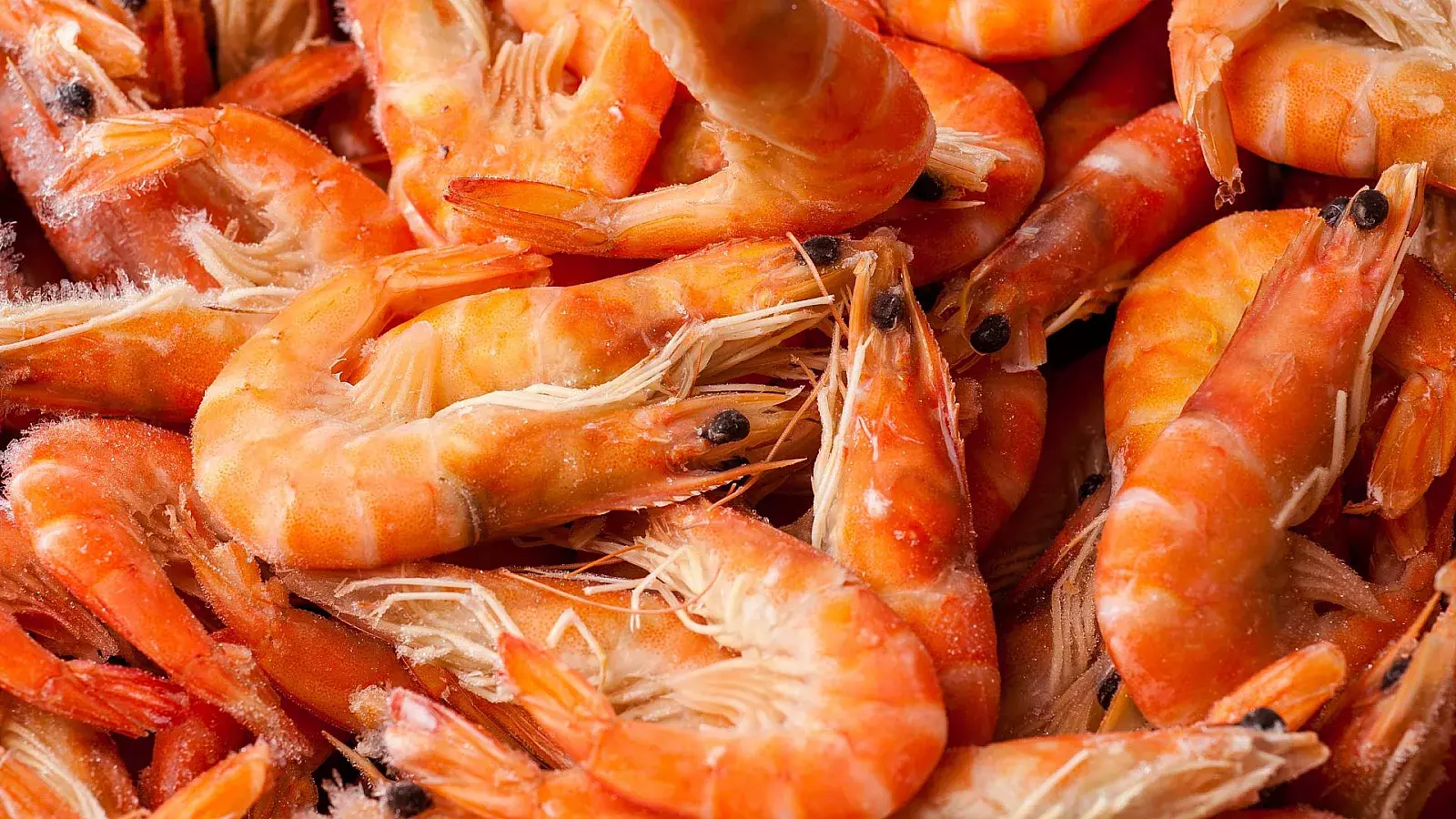 Camarones