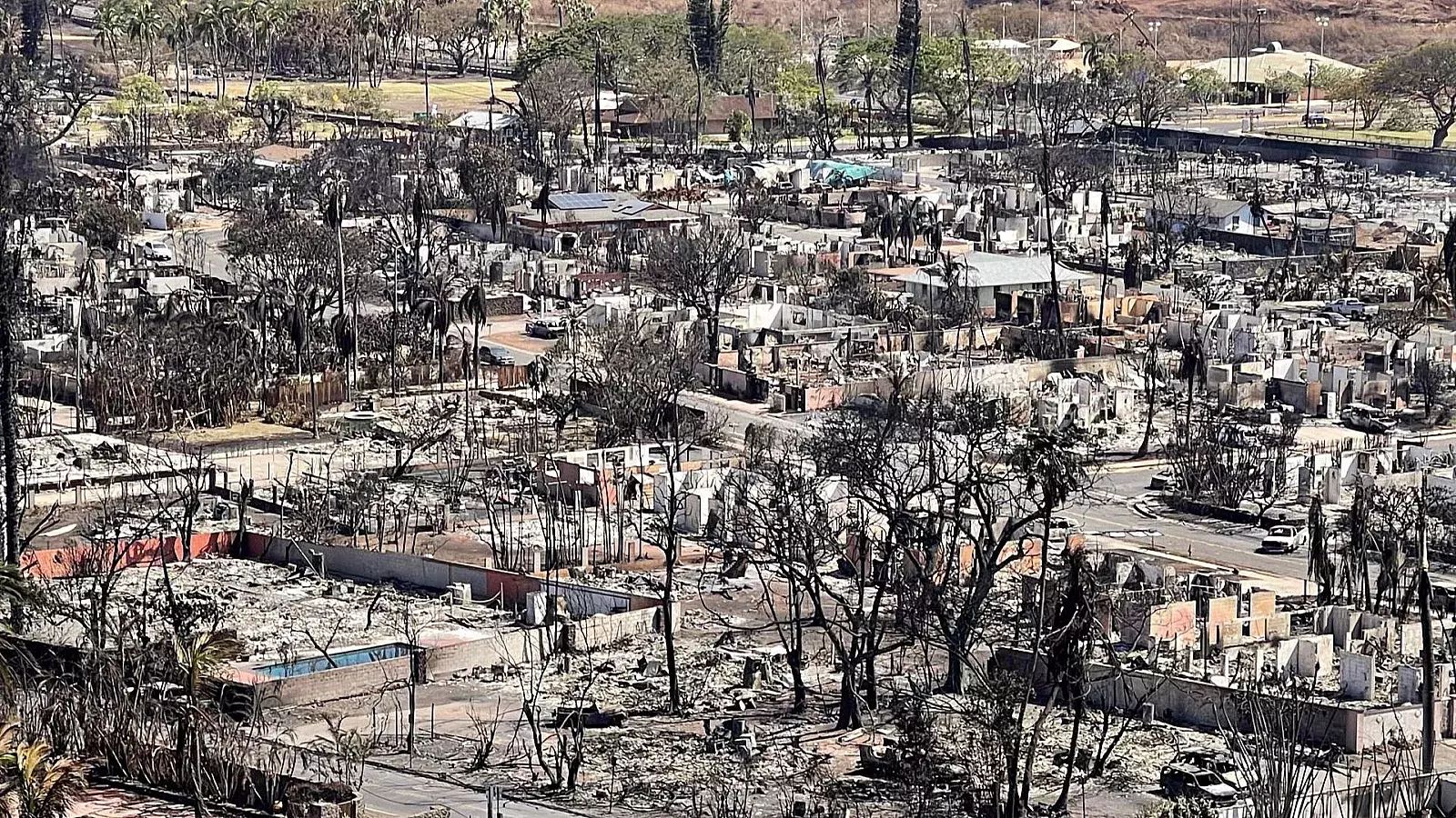 Ya son 93 muertos por los incendios en Hawái, los más mortíferos en la historia reciente en EEUU