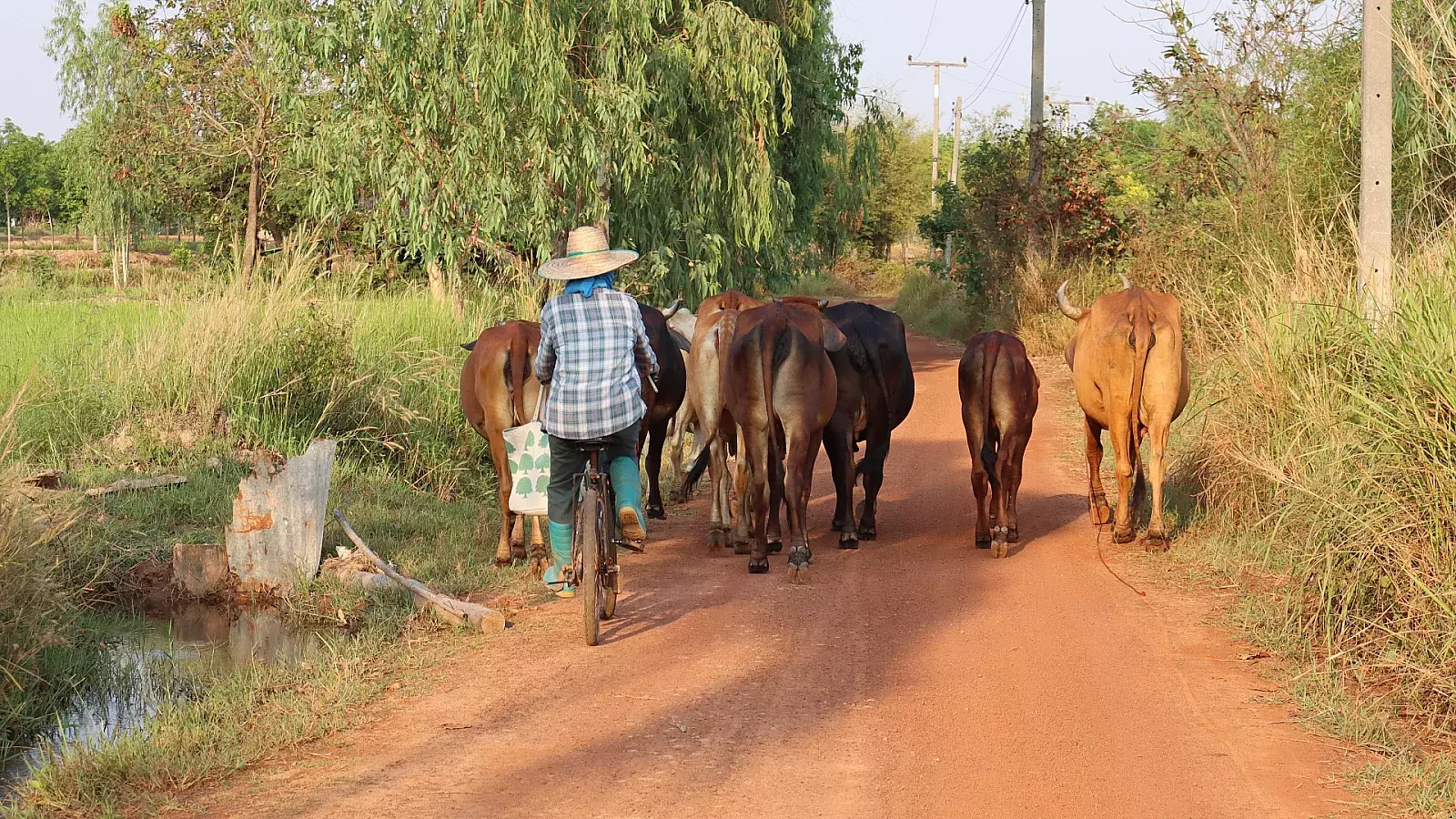 Campesinos en Cuba