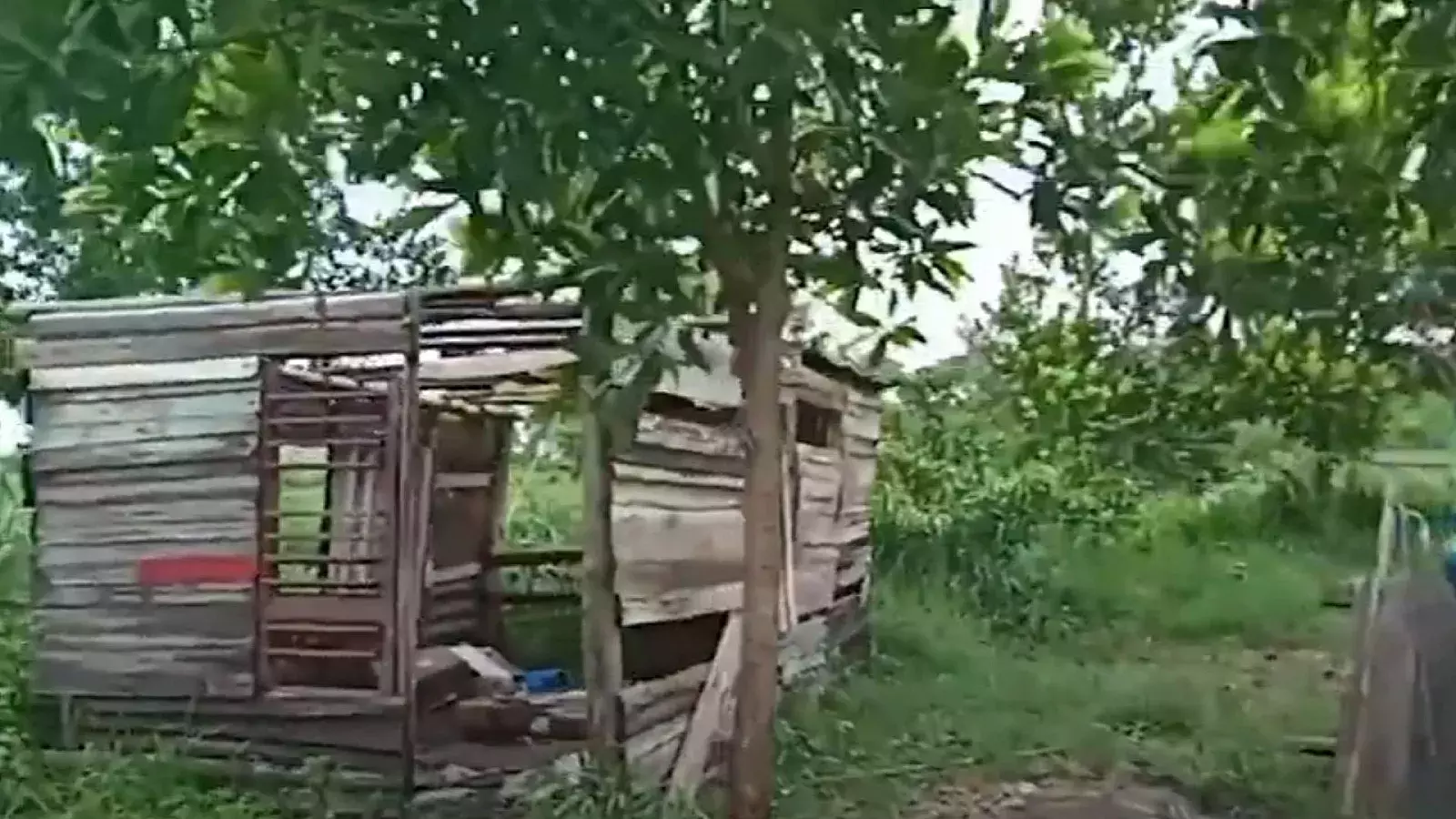 Casa de campesino en Pinar del Río tras el huracán Idalia