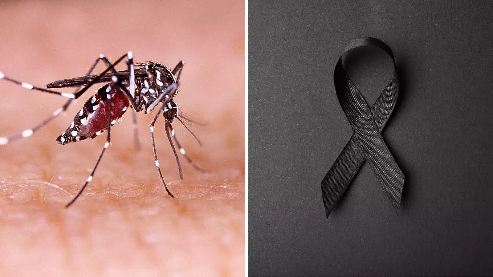 Muere niño cubano a causa del dengue
