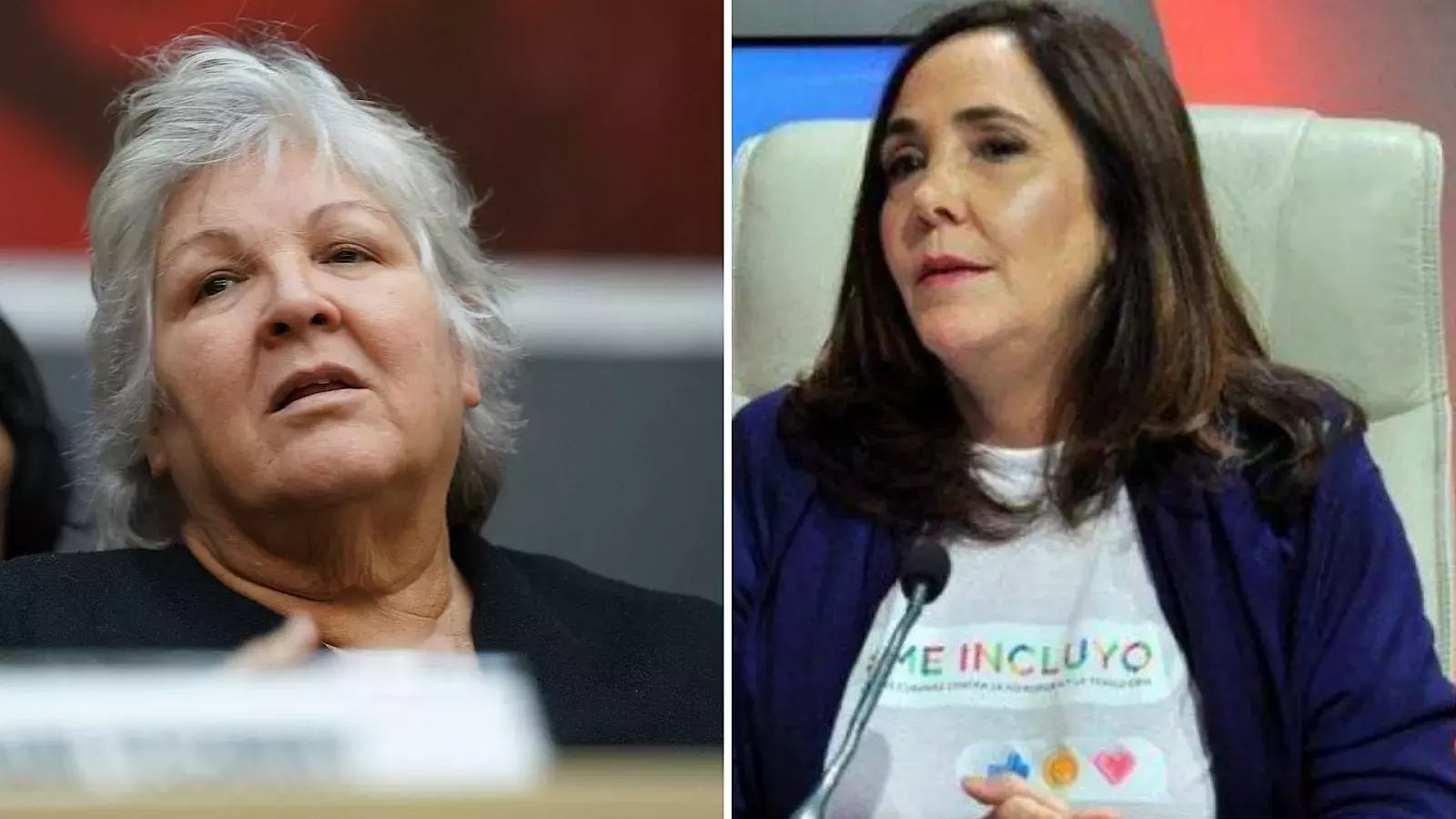 Mariela Castro y Aleida Guevara