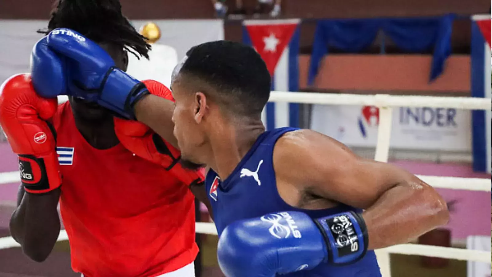 Boxeadores cubanos en el Playa Girón 2024