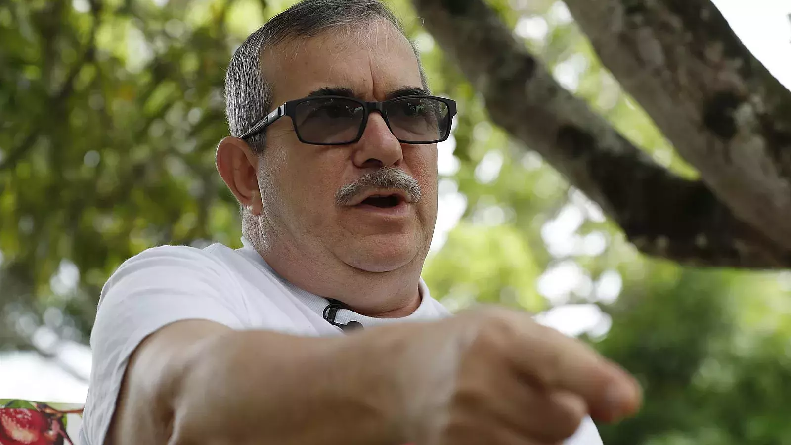 Excomandante de las FARC será observador en las próximas elecciones en Venezuela