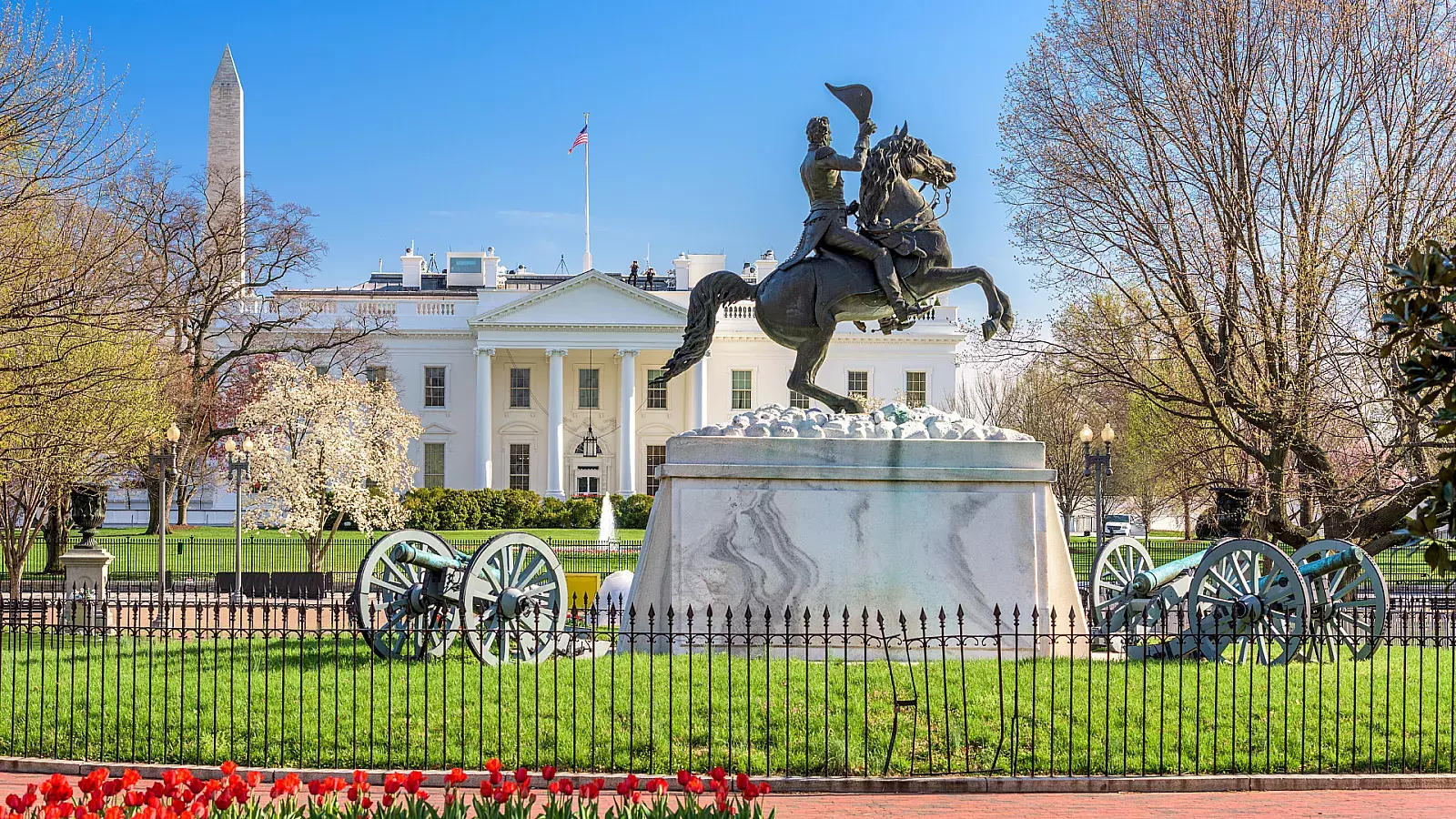 La concentración está planificada el 28 de enero, en la Plaza Lafayette, en Washington.