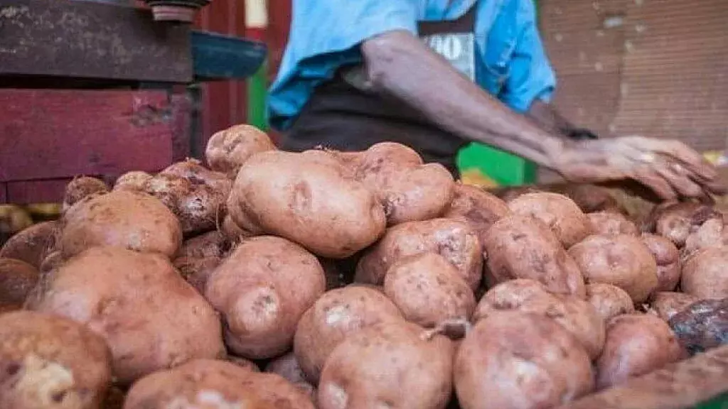 Papa en Cuba aumenta de precio