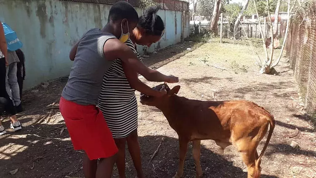 Zoológico Nacional de Cuba