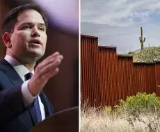 Senador Marco Rubio presenta proyecto de ley para acabar con coyotes