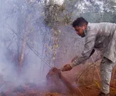 Incendio en Mayarí, Holguín, comienza a ceder