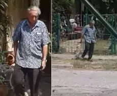 Los denuncias sobre maltrato animal en Cuba son frecuentes