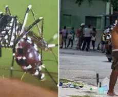 Mosquitos y calor en el verano en Cuba