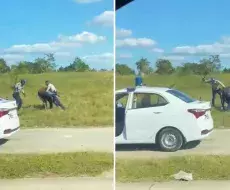 Brutalidad policial en Cuba